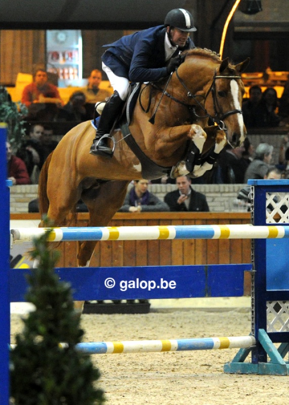HENGSTENCOMPETITIE FLANDERS EXPO GENT (25/2/2010)